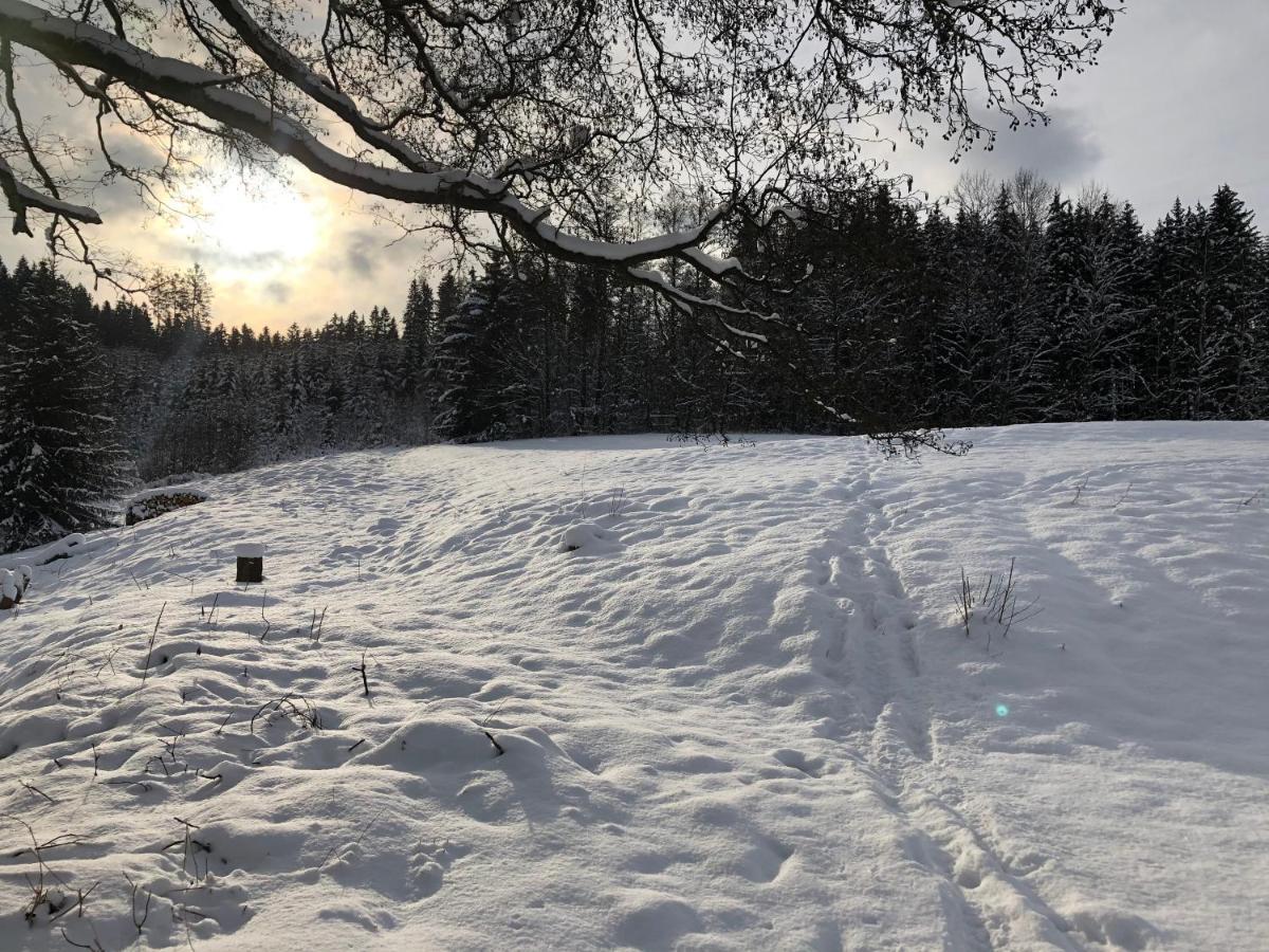Ubytovani Chotevice Hostinne  Luaran gambar